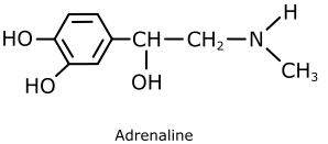 Adrenaline chemical structure