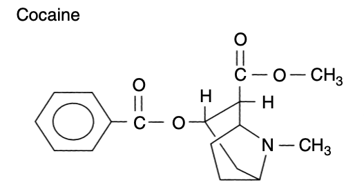 Cocaine chemical structure