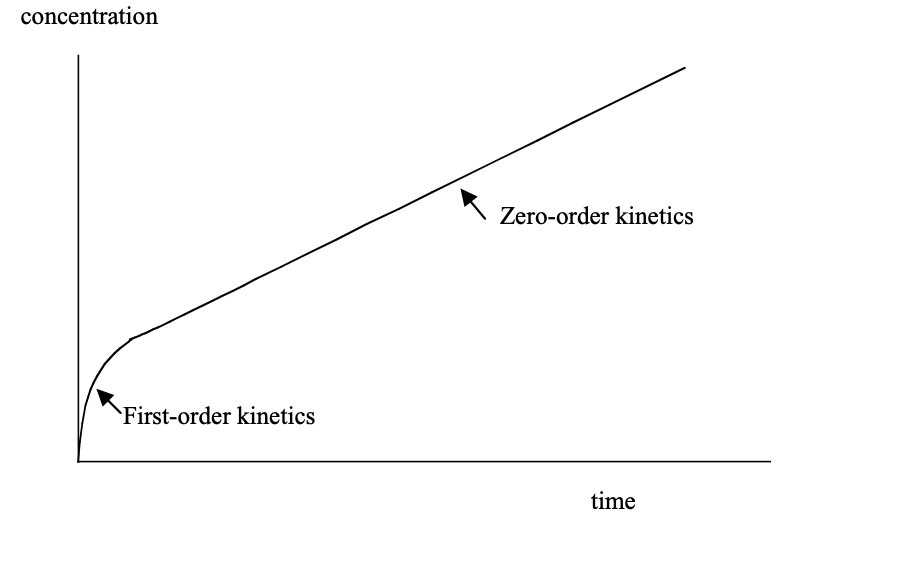 Enzyme Kinetics Graph