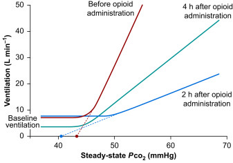 Hypercapnoeic ventilatory response graph