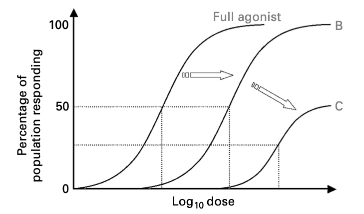 Irreversible competitive antagonist log dose-repsonse curve graph