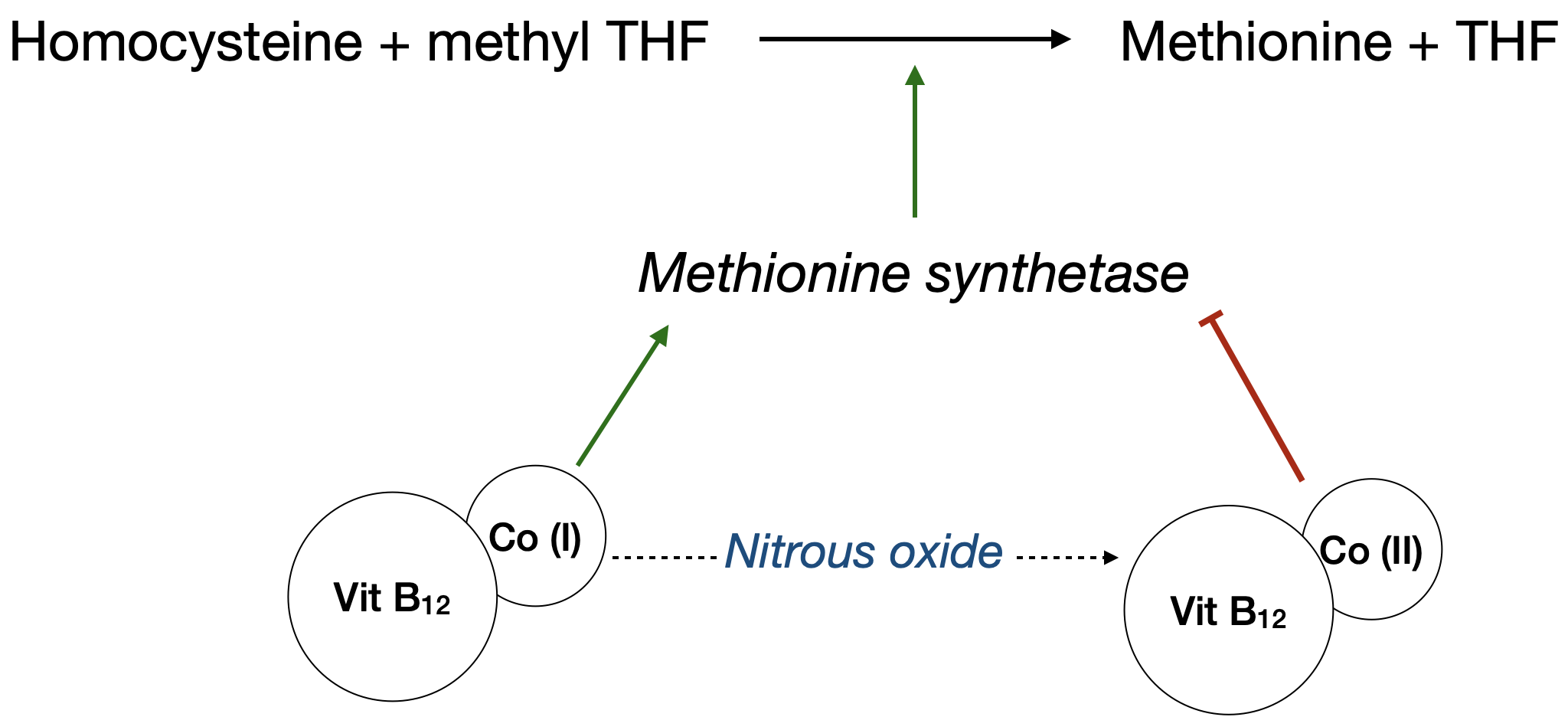 Nitrous oxide toxic pathways