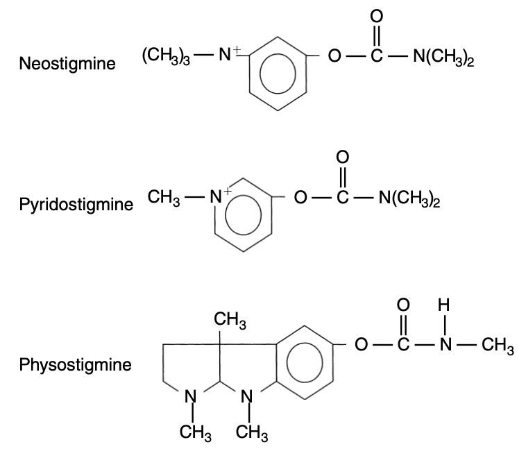 Carbamate esters