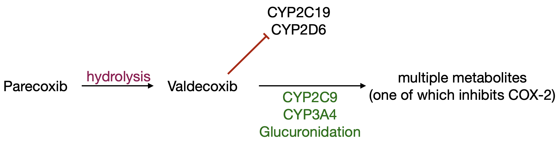 Parecoxib metabolic pathway