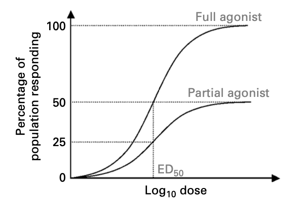 Partial vs. full agonist dose-response curve